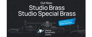 Special Offers on VSL Brass Products