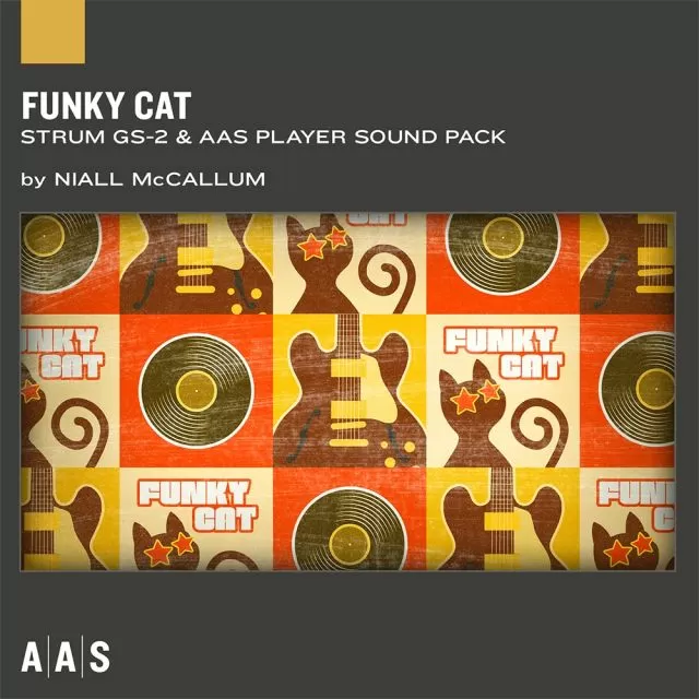 Retro funk pattern with guitars, vinyl records, and &quot;FUNKY CAT&quot; text by Niall McCallum in colorful design