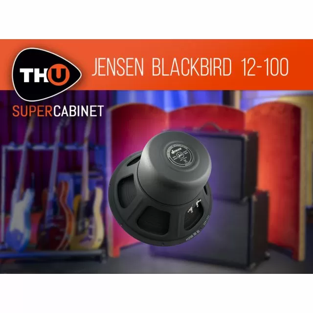 Black Jensen Blackbird speaker with colorful cabinets, guitars, and THU SuperCabinet orange branding