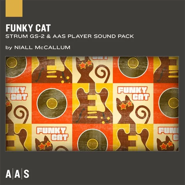 Retro funk pattern with guitars, vinyl records, and "FUNKY CAT" text by Niall McCallum in colorful design