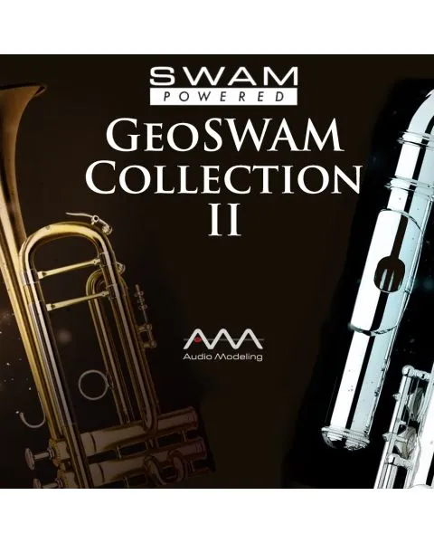 GeoSWAM Collection II