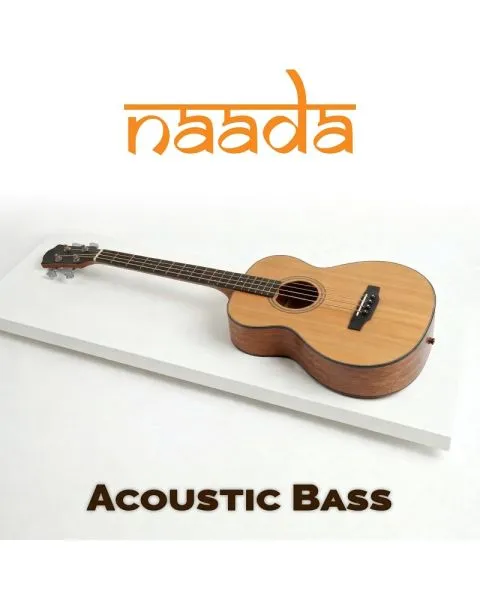 Naada Acoustic Bass for GeoShred Studio