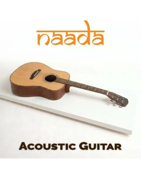 Naada Acoustic Guitar for GeoShred Studio