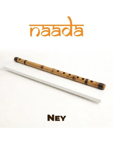 Naada Ney for GeoShred Studio