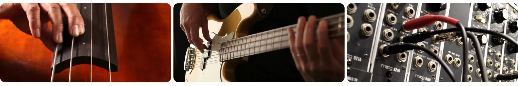 Trilian 1.5 - Acoustic - Electric - Synth