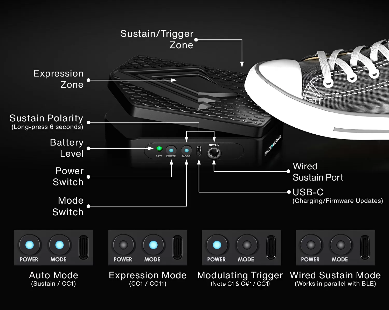 Black BT SusEx Diagram